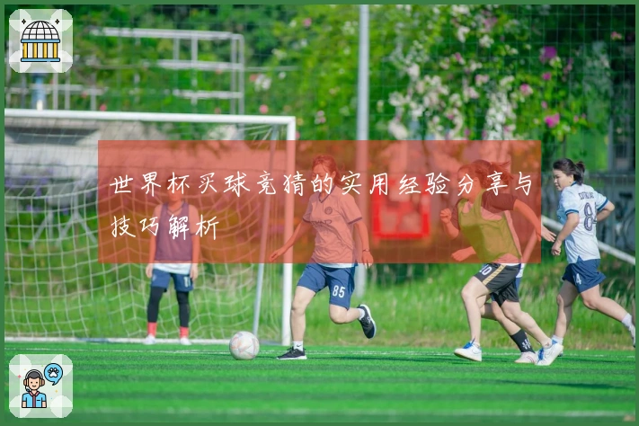 世界杯买球竞猜的实用经验分享与技巧解析