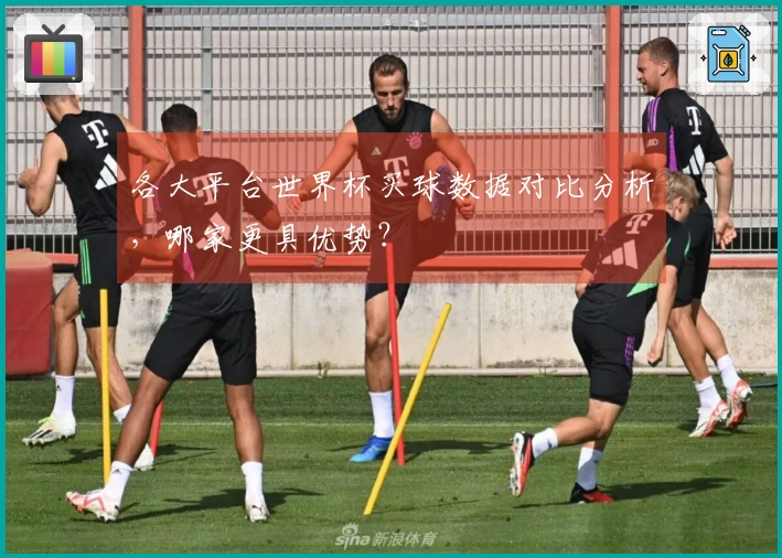 各大平台世界杯买球数据对比分析，哪家更具优势？