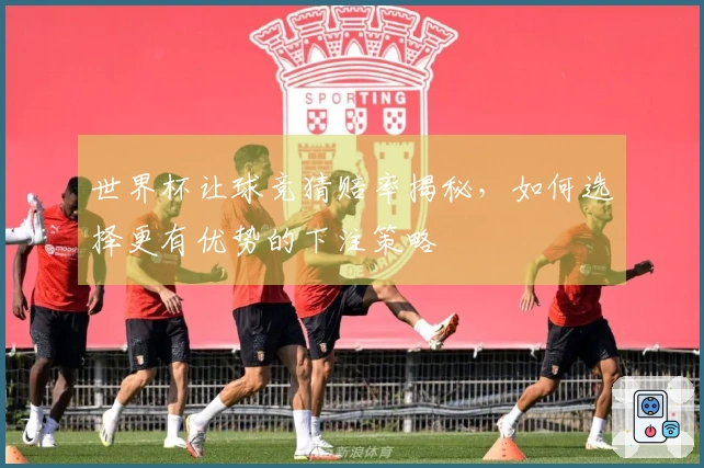世界杯让球竞猜赔率揭秘，如何选择更有优势的下注策略