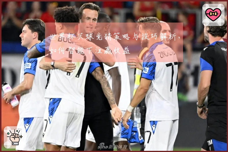 世界杯买球竞猜策略与技巧解析，如何智能下注赢收益