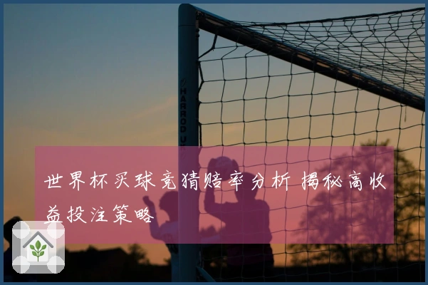 世界杯买球竞猜赔率分析 揭秘高收益投注策略