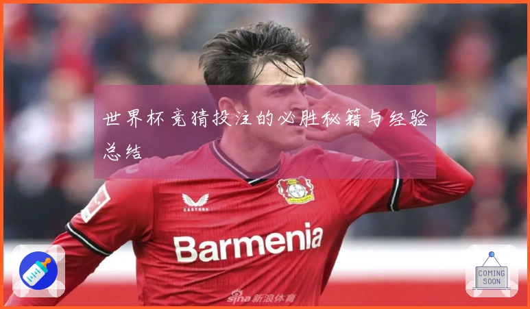 世界杯竞猜投注的必胜秘籍与经验总结