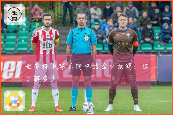 世界杯滚球竞猜中的盘口诀窍，你了解多少