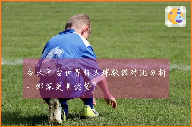 各大平台世界杯买球数据对比分析，哪家更具优势？