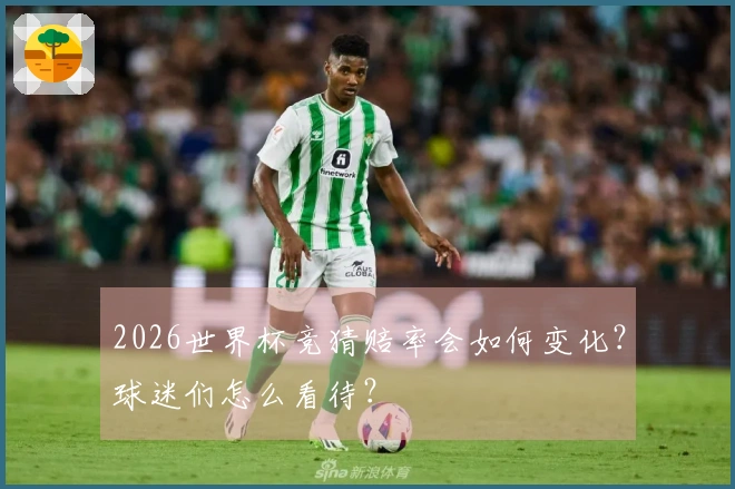 2026世界杯竞猜赔率会如何变化？球迷们怎么看待？